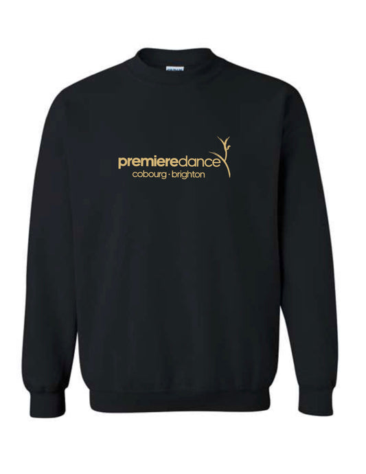 Équipe de danse pour adultes de première