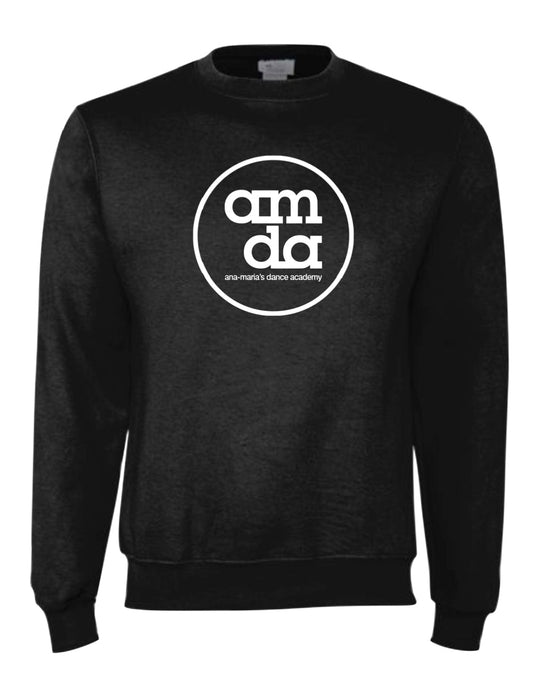 CHAMPION de l'équipe adulte AMDA