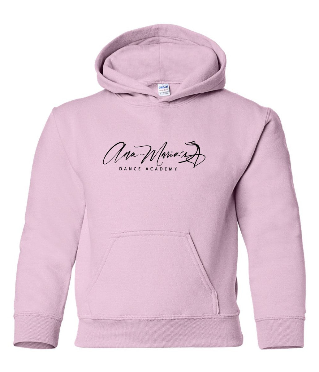 AMDA Youth Hoodie