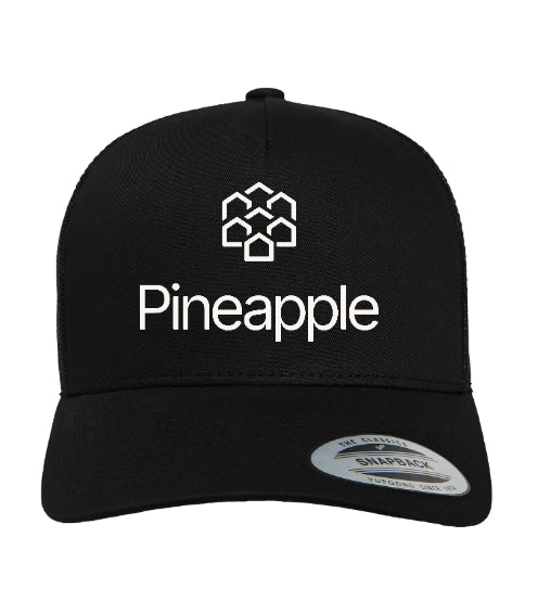 Pineapple Baseball Hat Embroidered