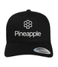 Pineapple Baseball Hat Embroidered